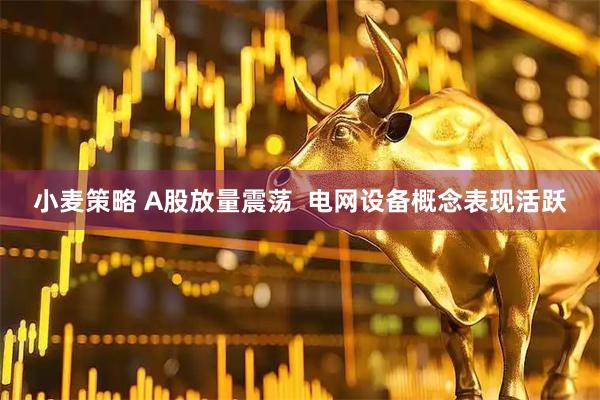小麦策略 A股放量震荡  电网设备概念表现活跃
