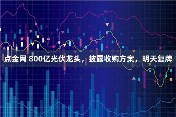 点金网 800亿光伏龙头，披露收购方案，明天复牌