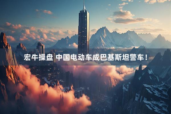 宏牛操盘 中国电动车成巴基斯坦警车！