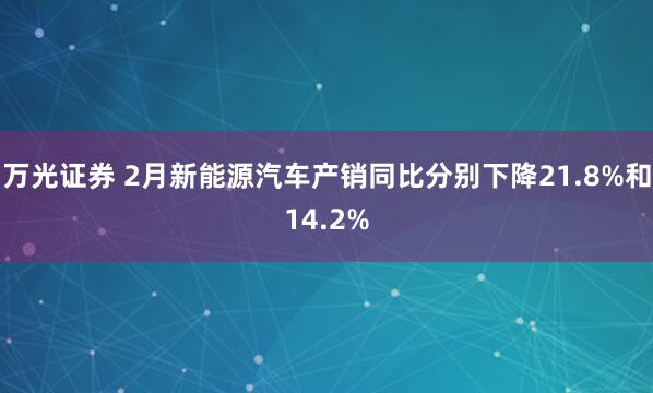 万光证券 2月新能源汽车产销同比分别下降21.8%和14.2%