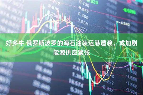 好多牛 俄罗斯波罗的海石油装运港遭袭,或加剧能源供应紧张