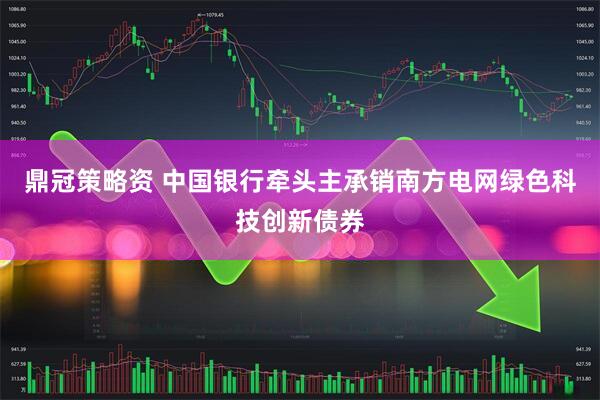 鼎冠策略资 中国银行牵头主承销南方电网绿色科技创新债券