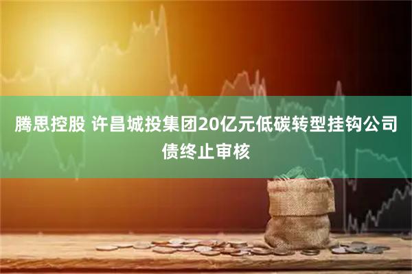 腾思控股 许昌城投集团20亿元低碳转型挂钩公司债终止审核