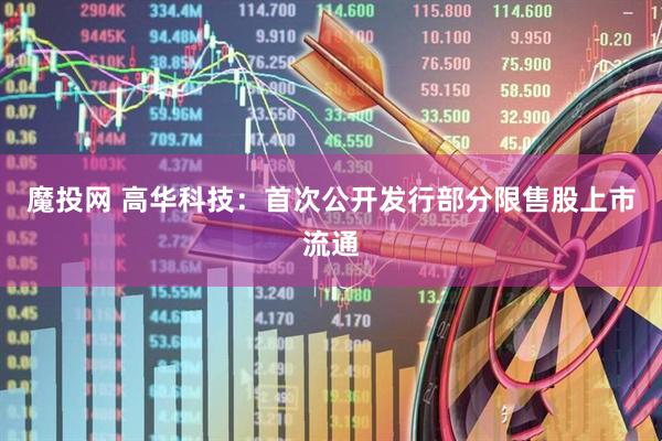 魔投网 高华科技：首次公开发行部分限售股上市流通