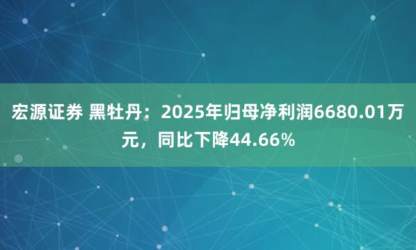 宏源证券 黑牡丹：2025年归母净利润6680.01万元，同比下降44.66%