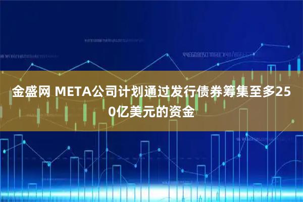 金盛网 META公司计划通过发行债券筹集至多250亿美元的资金