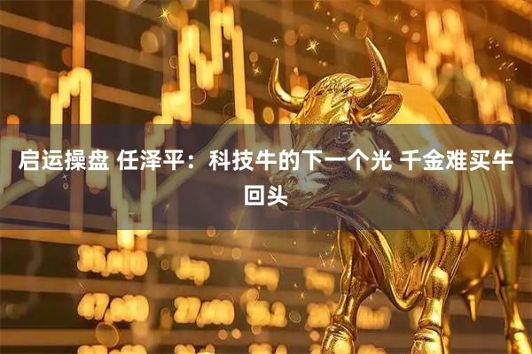 启运操盘 任泽平:科技牛的下一个光 千金难买牛回头