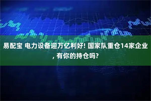 易配宝 电力设备迎万亿利好! 国家队重仓14家企业, 有你的持仓吗?
