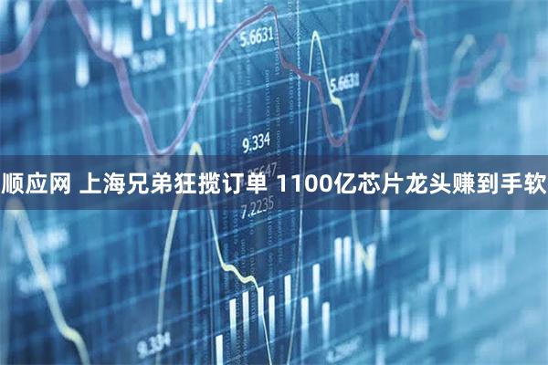顺应网 上海兄弟狂揽订单 1100亿芯片龙头赚到手软