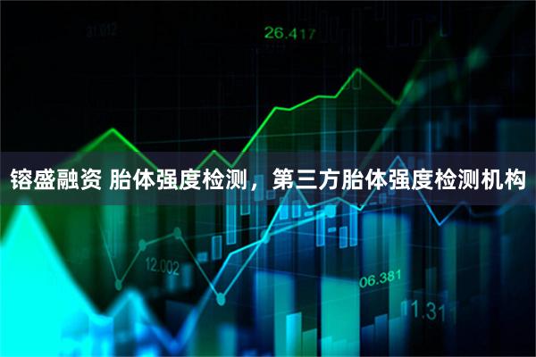 镕盛融资 胎体强度检测，第三方胎体强度检测机构