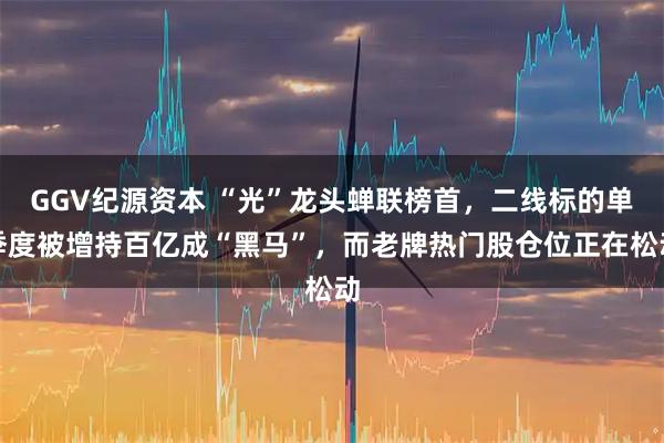 GGV纪源资本 “光”龙头蝉联榜首，二线标的单季度被增持百亿成“黑马”，而老牌热门股仓位正在松动