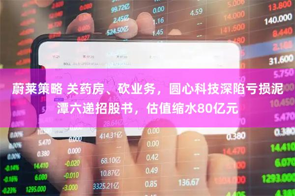 蔚莱策略 关药房、砍业务,圆心科技深陷亏损泥潭六递招股书,估值缩水80亿元