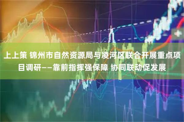 上上策 锦州市自然资源局与凌河区联合开展重点项目调研——靠前指挥强保障 协同联动促发展