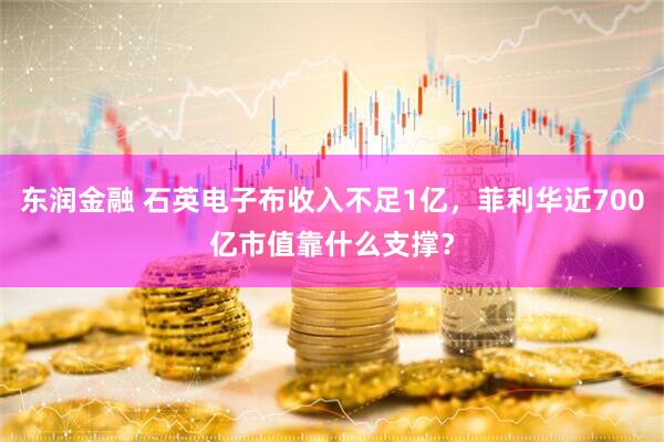 东润金融 石英电子布收入不足1亿，菲利华近700亿市值靠什么支撑？
