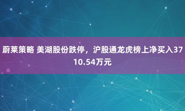 蔚莱策略 美湖股份跌停，沪股通龙虎榜上净买入3710.54万元