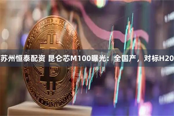 苏州恒泰配资 昆仑芯M100曝光:全国产,对标H20